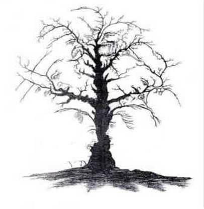 diez caras diez caras