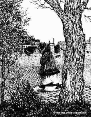 caraboscque carabosque