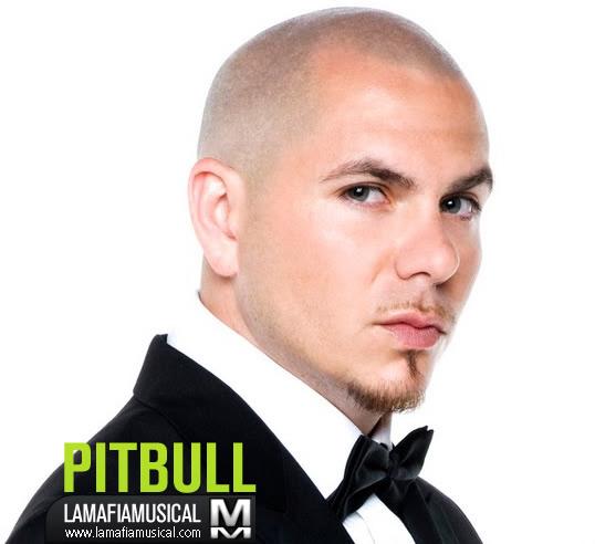 pitbull-cantante.jpg