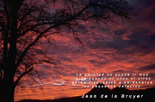 Aforismo y frases célebres