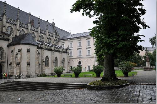  Abadía de Admont: biblioteca más bella del mundo