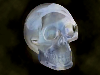 calavera océana calavera océana