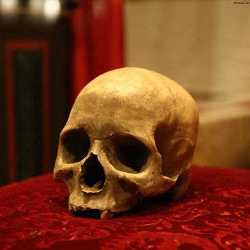 fotografia fotografia