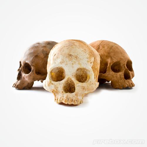 fotografia fotografia