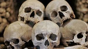 fotografia fotografia