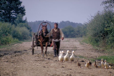 película el violinista en el tejado