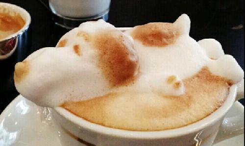 Arte Latte