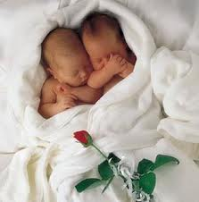 Hijos, hijos Hijos, hijos